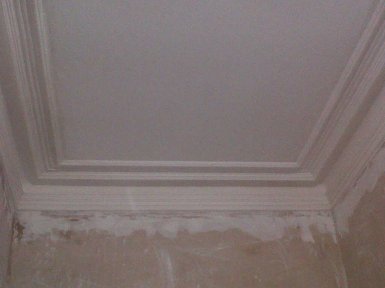 A replication of the existing fibrous cornice which was run using a template mould after plastering had been completed